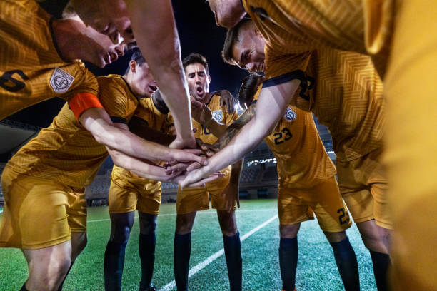 这不仅有助 这不仅有助