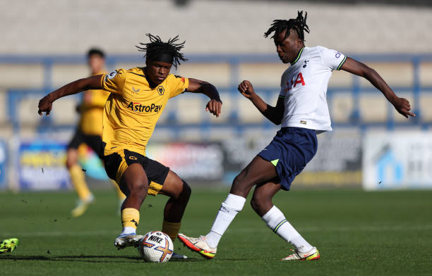 那不勒斯的 那不勒斯的